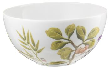 Bowl white background - Raynaud